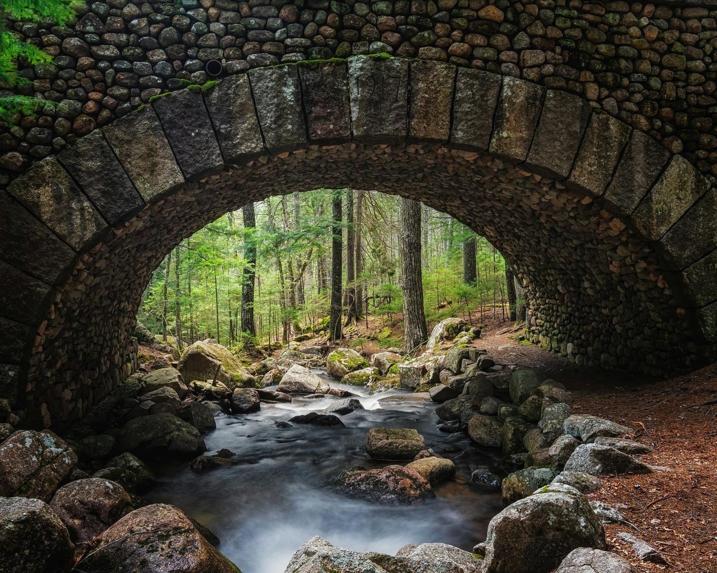 Aged arched bridge over narrow stream in forest