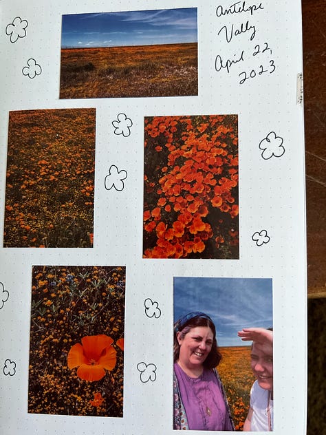Pages from a journal with images and text