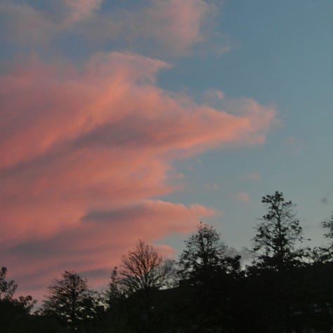Miscellaneous photos