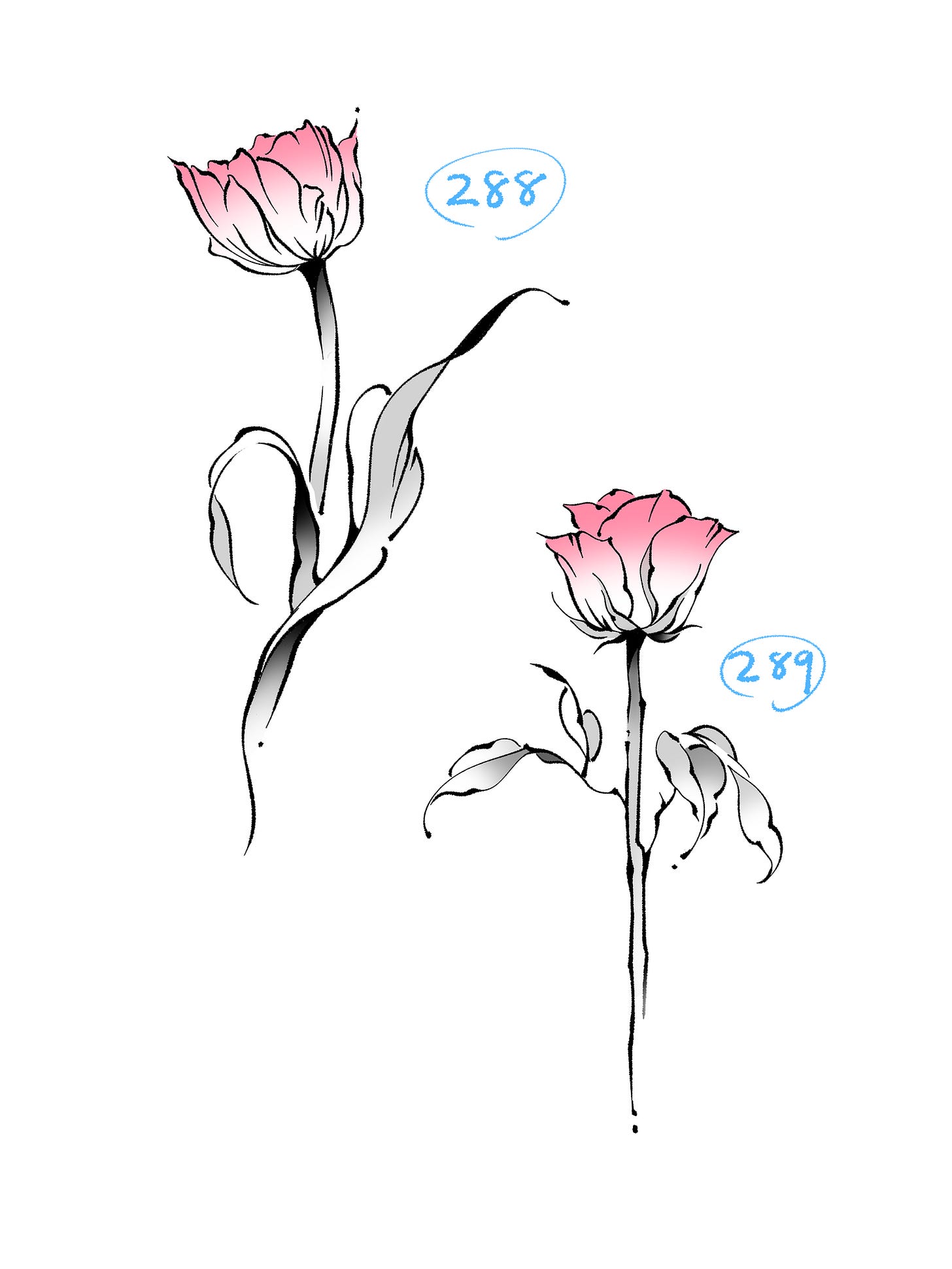 No description available.