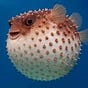 Me's avatar