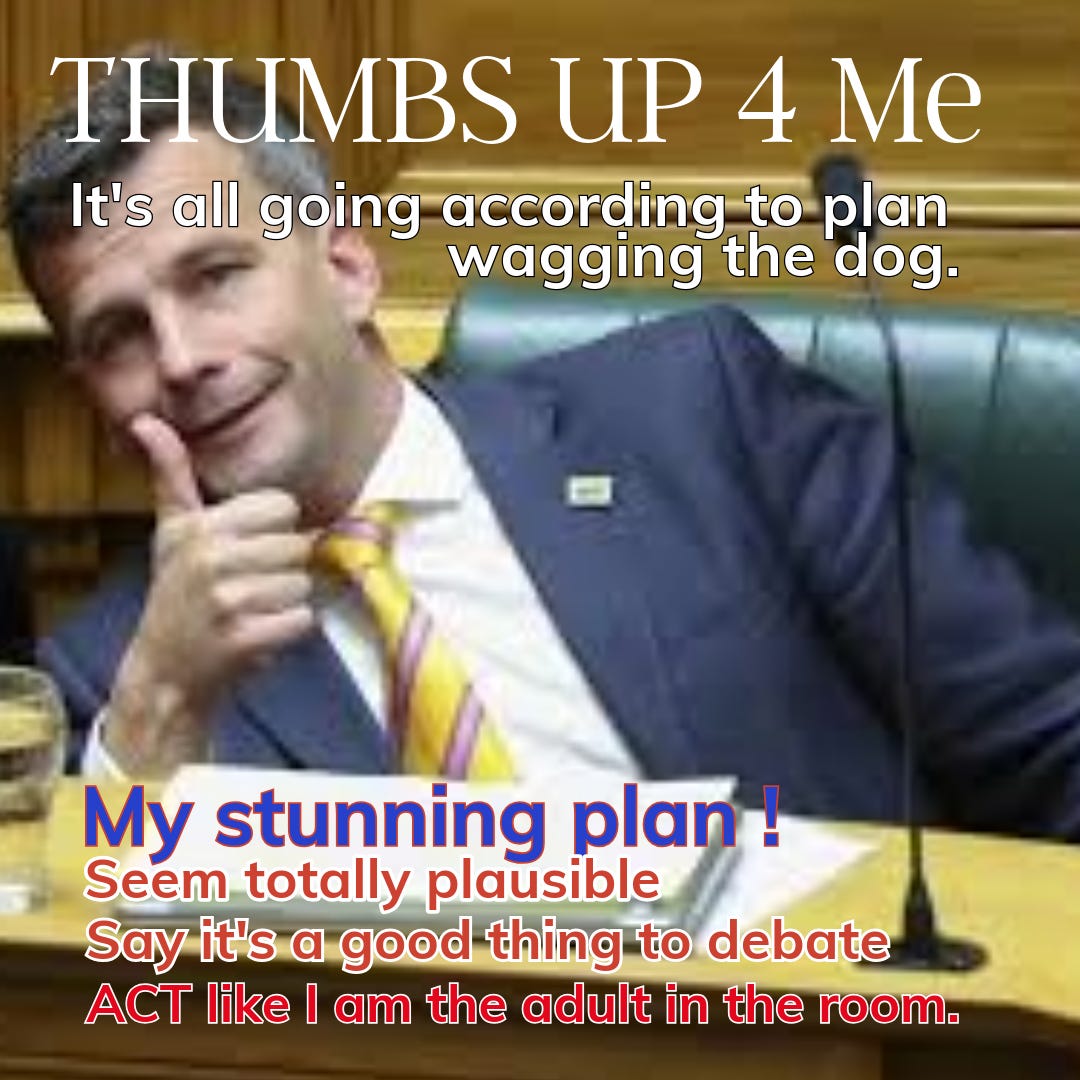 A meme of David Seymour with his thumbs up in parliament. He is congratulating himself for getting the Treaty Principles Bill into parliament. A part of his cunning plan to divide Kiwis. A trying to promate discussion, but instead many see it as divisive.