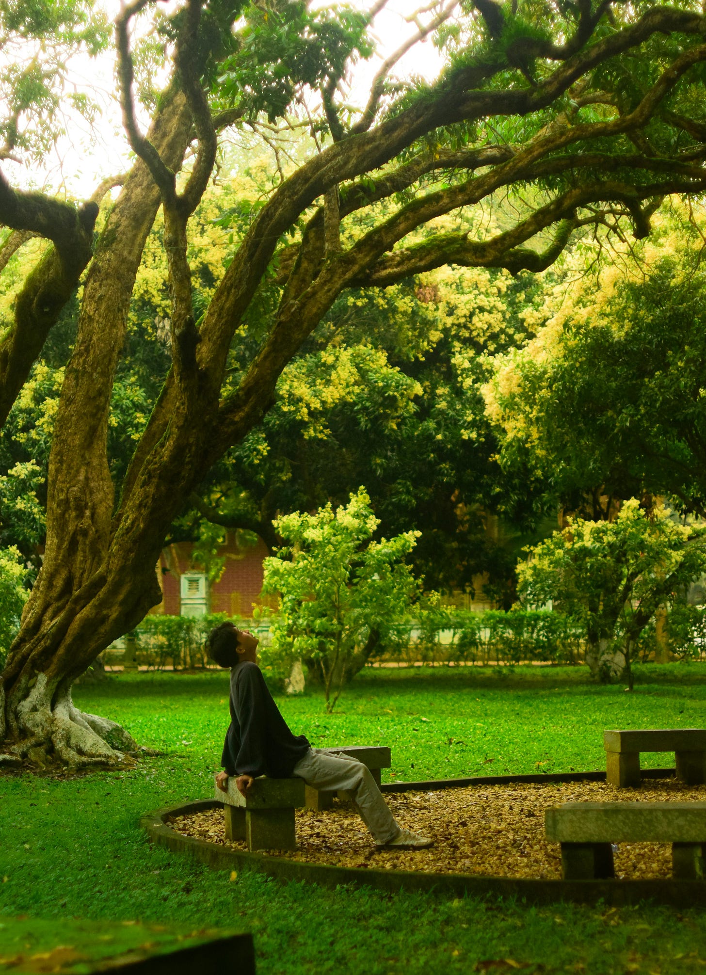 Photo from Dongdilac    : https://www.pexels.com/pt-br/foto/31448914/