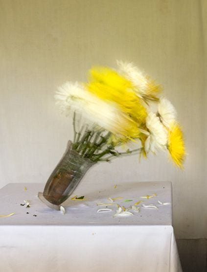 May be an image of flower