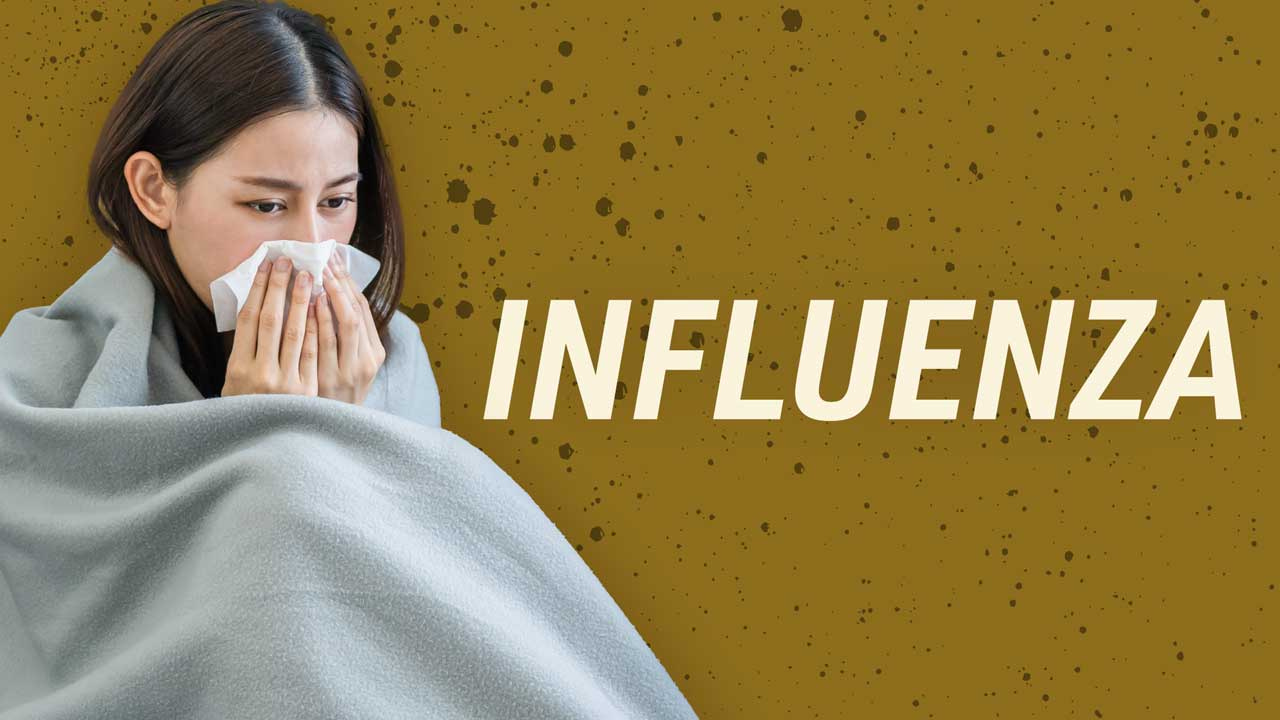 Influenza: Everything You Need to Know | Ausmed Influenza: Everything You Need to Know | Ausmed