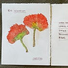 Geranium’s farewell