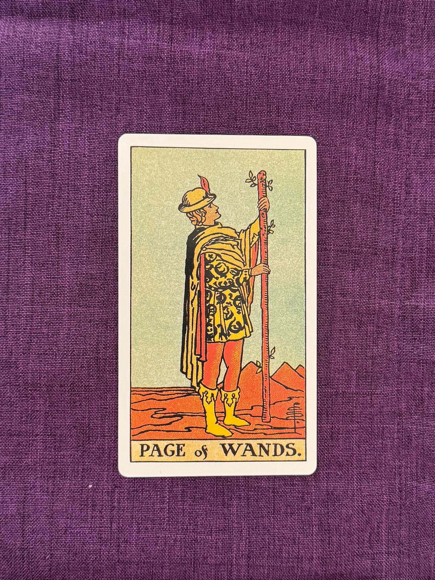 A young man standing in the desert looks up at a wooden wand he is holding. The wand has leaves sprouting at the. In the background there are some pyramids in the horizon.