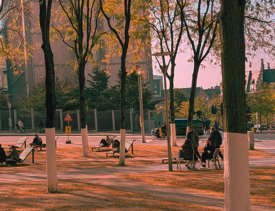 A leafy park in autumn, central Brussels, 2025 from Never Lost Letters by Stuart Found A leafy park in autumn, central Brussels, 2025 from Never Lost Letters by Stuart Found