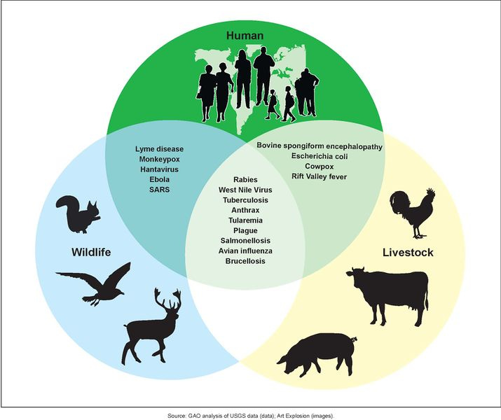File:Zoonotic Diseases.jpg