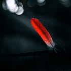 Flabberghosted