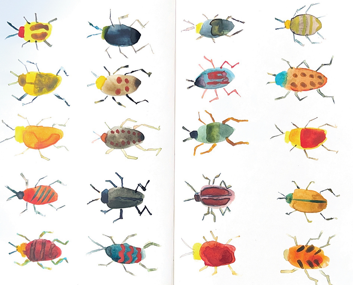 illustrated beetles by kelcey ervick