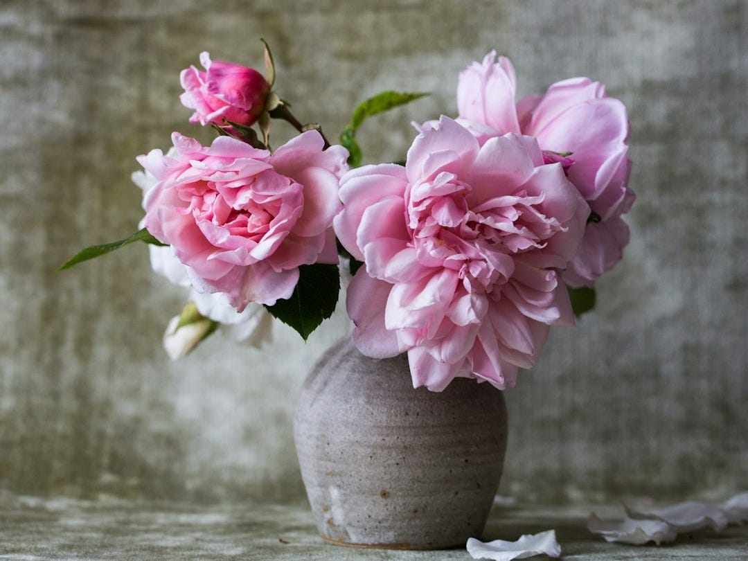 pink flowers on gray ceramic vase pink flowers on gray ceramic vase