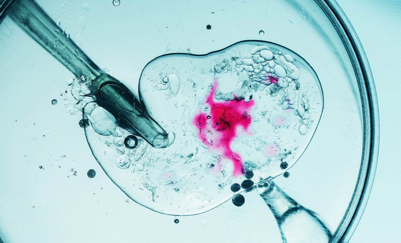 Human eggs made from skin cells in major infertility breakthrough -  Earth.com