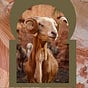 the feral goat's avatar