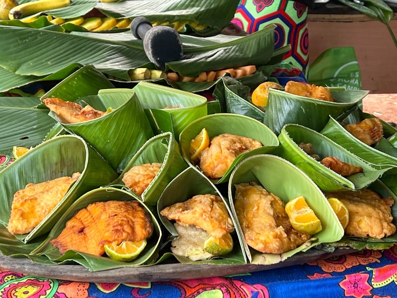 20260221-PanamaCell-27-Edit.jpg 20260221-PanamaCell-27-Edit.jpg