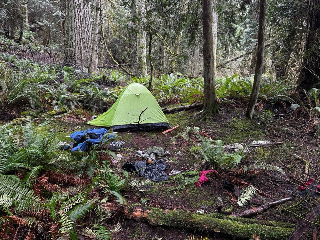 A tent in the woods

Description automatically generated