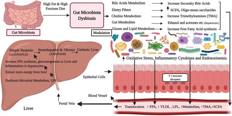Understanding the Effects of Gut Microbiota Dysbiosis on Nonalcoholic Fatty  Liver Disease and the Possible Probiotics Role: Recent Updates [Abstract]