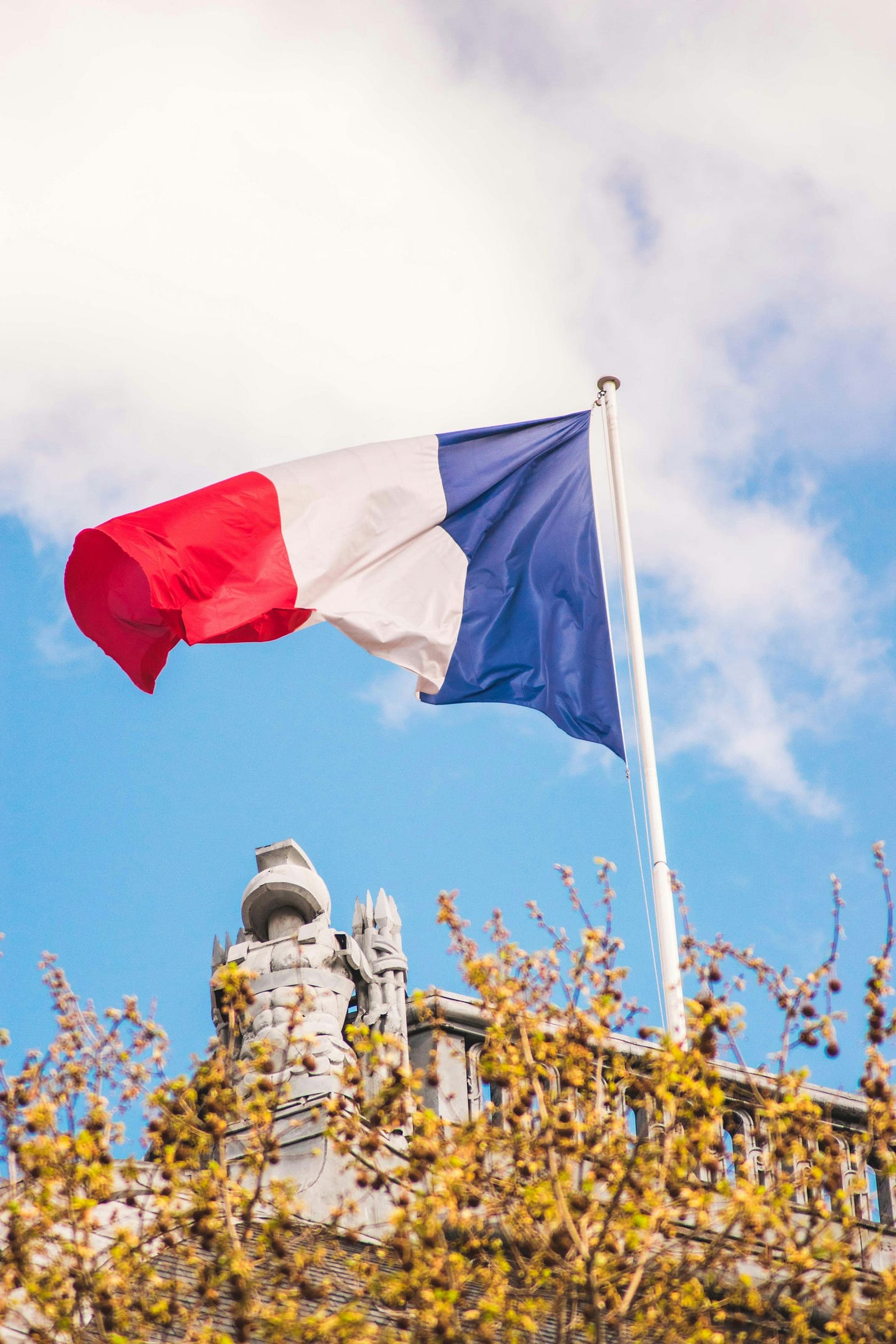 French Flag
French Flag