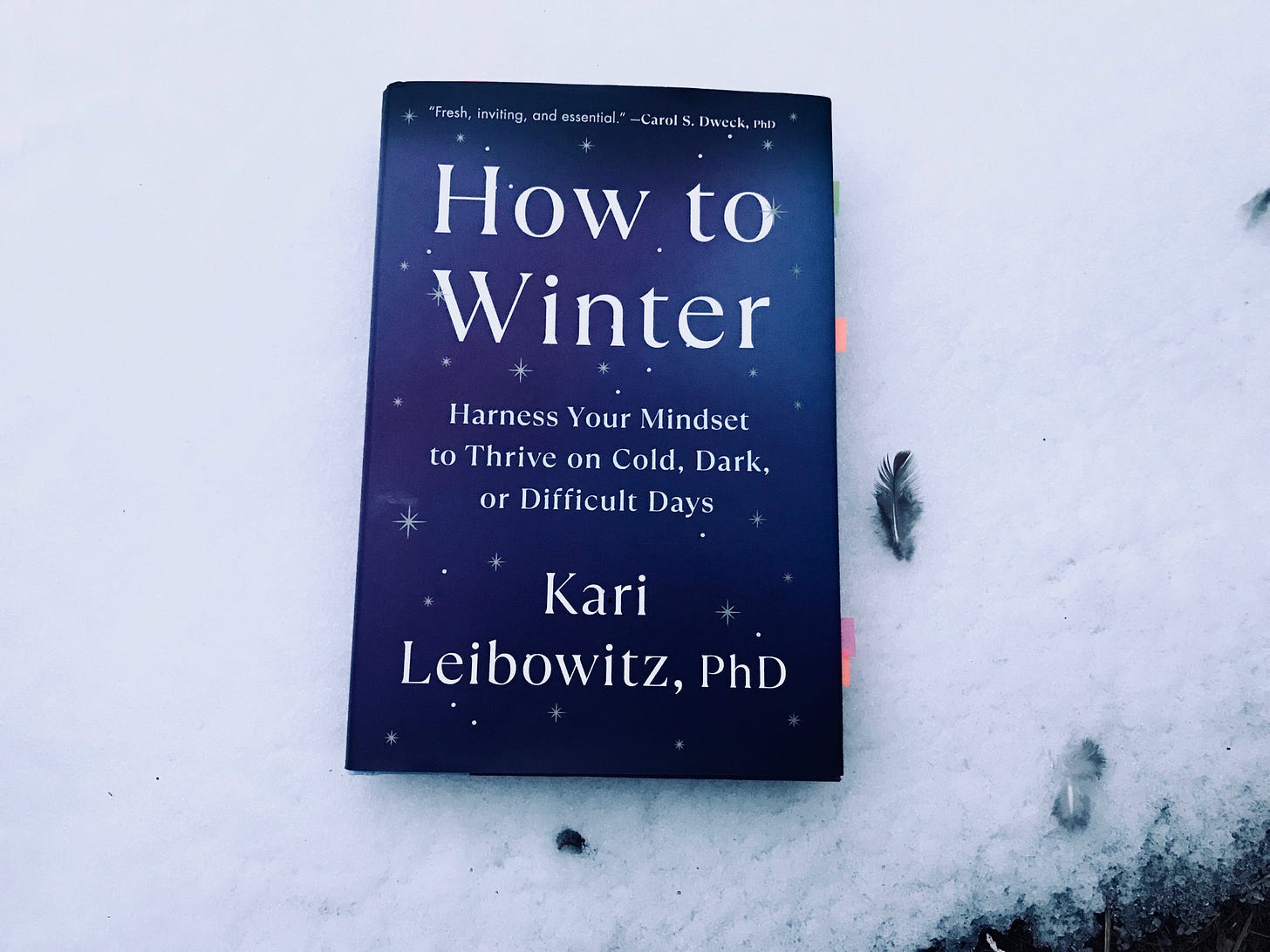 "How to Winter" book (white words on a purple background with Kari Leibowitz, PhD as author) on a bed of snow with a gray bird feather beside it "How to Winter" book (white words on a purple background with Kari Leibowitz, PhD as author) on a bed of snow with a gray bird feather beside it