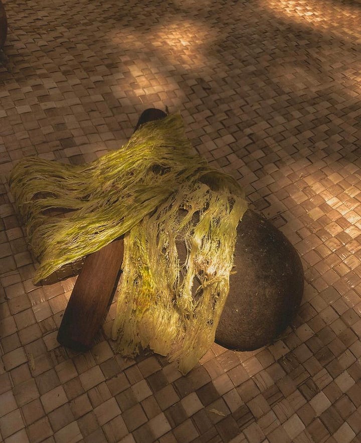 pounding a ʻulu bark with wooden mallet on a stone on a Hala mat under a tree. Tools like the shark tooth knife and Opihi shell are depicted