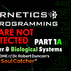 ⚙️Cybernetics & Metaprogramming🧠 (Pt. 1a) - Hacking in Computer & Biological Systems [Project Soul Catcher]