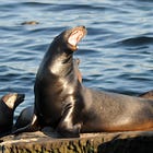 Kansas Forcing Doctors To Report Patients' Reasons For (Still Legal!) Abortions. Doctors Suing Kansas Right Back.