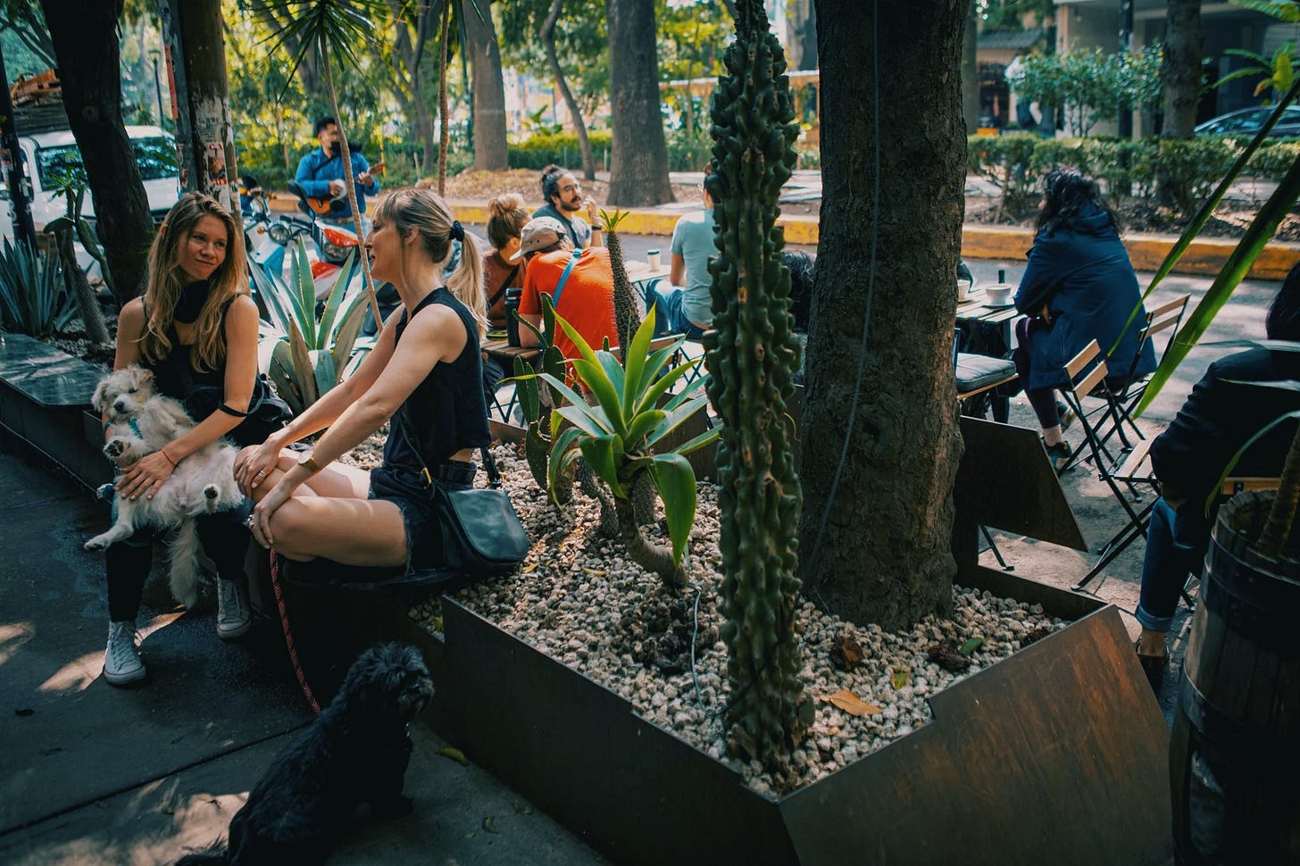 Expat communities in Mexico City — Coldwell Banker Magno