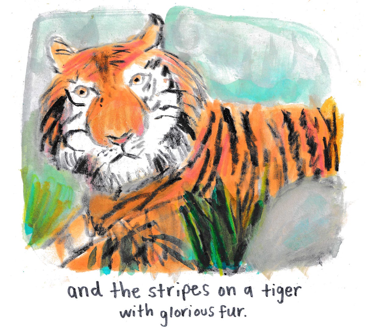 tiger illustration by Beth Spencer