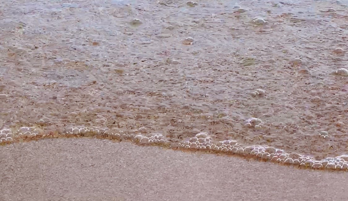 Variations On Water 