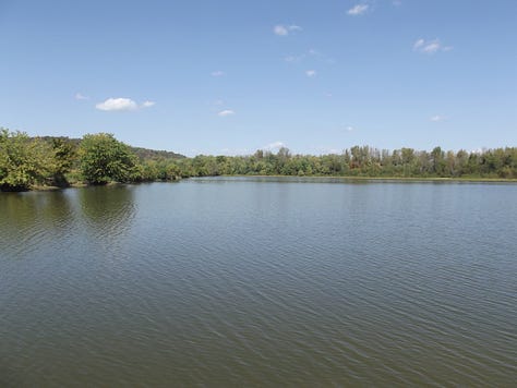 Oxbow Inc. Wetlands and Wildlife Refuge