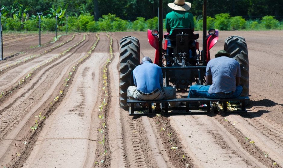 FAMU Prepares for Its Statewide Small Farm Program Series