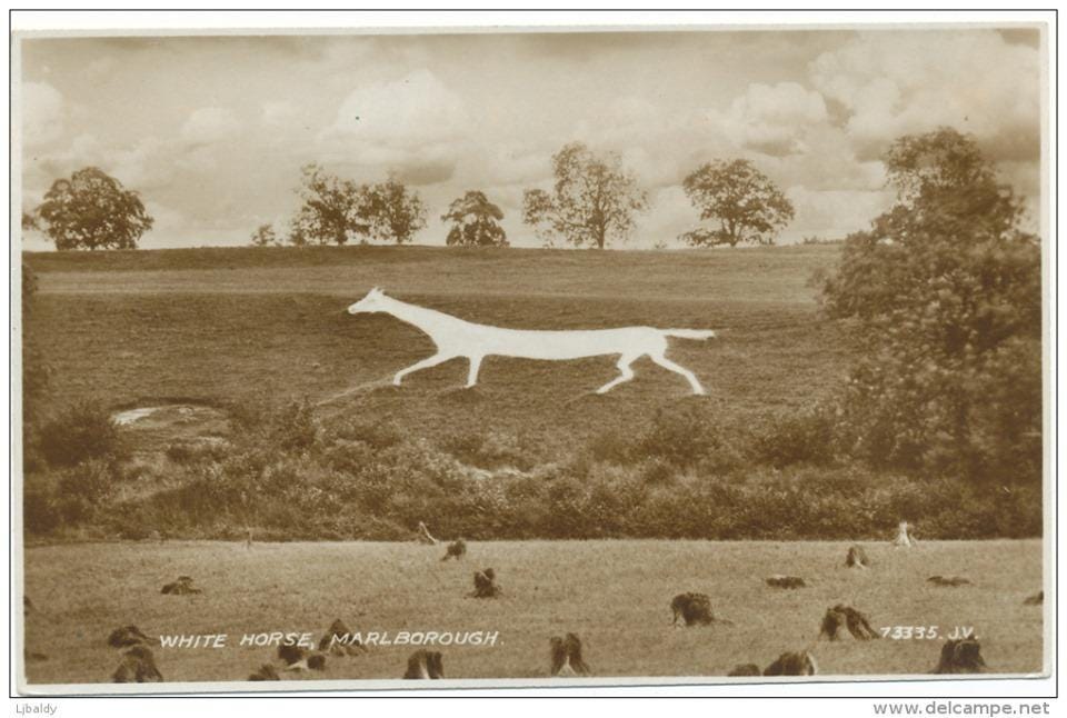 Wiltshire's iconic white horse tradition is thousands of years old |  Wiltshire Times