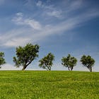 Tips to help the environment when you travel