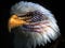Olde Eagle's avatar