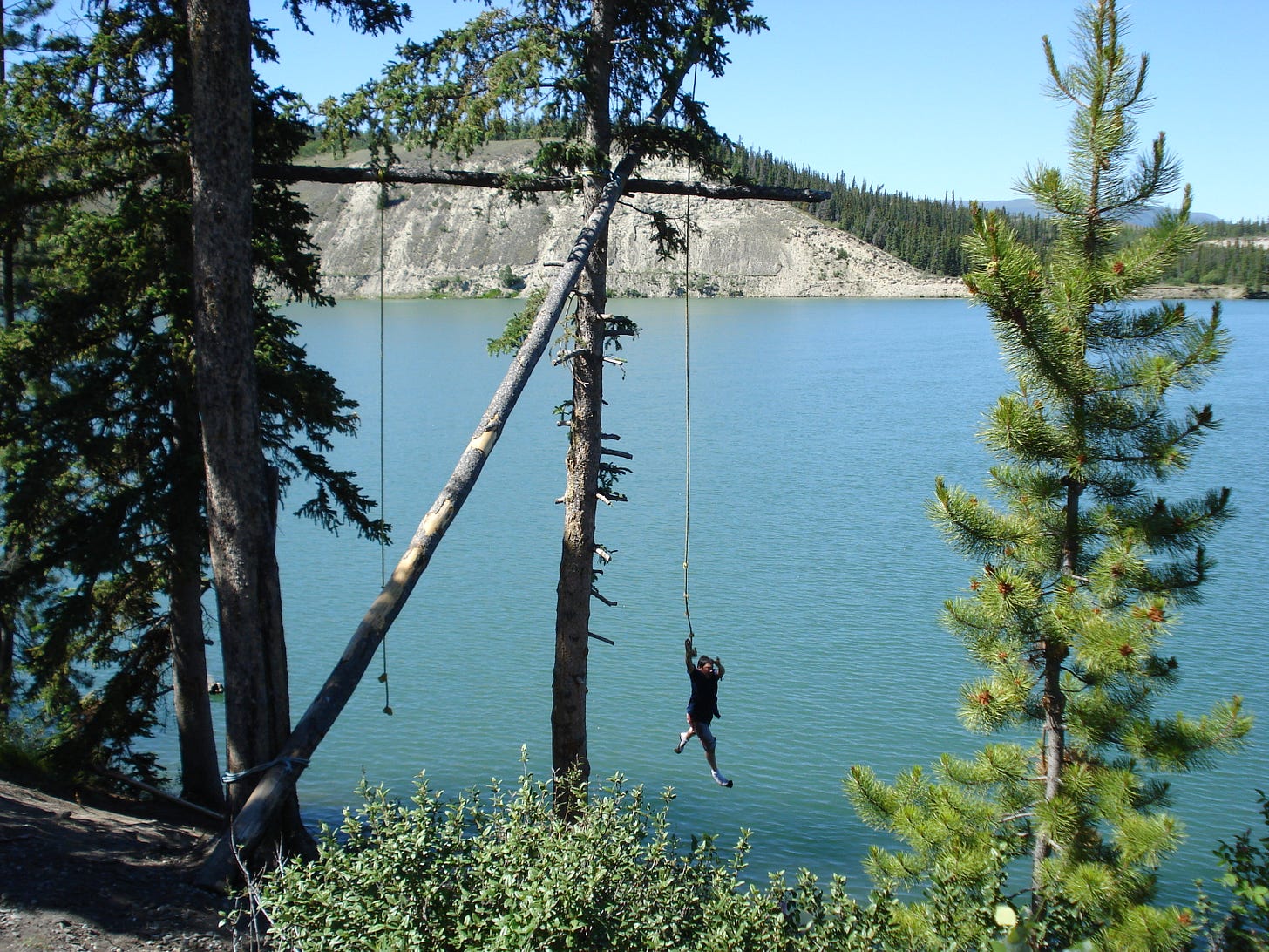 A body jumps from a rope swing along the Yukon River. Trees are in the foreground, with a mountain behind.