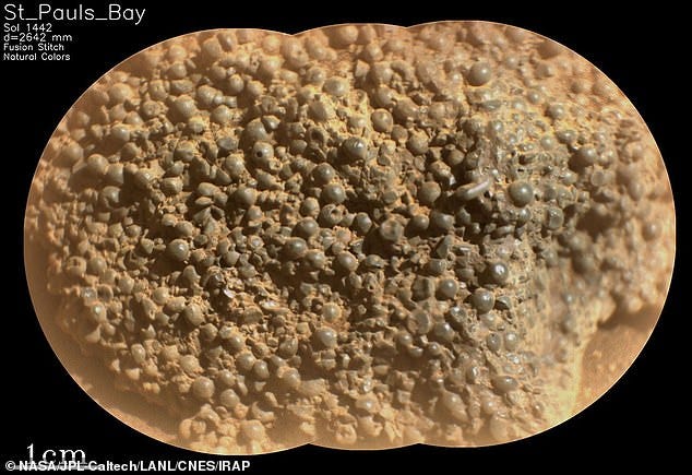 This image from NASA¿s Mars Perseverance rover reveals hundreds of strange, spherical-shaped objects comprising the rock. Perseverance acquired this image on March 11, 2025, or sol 1442 (Martian day 1,442 of its mission)