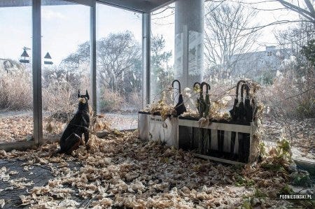 Un local abandonné de la centrale Fukushima-Daichi Un local abandonné de la centrale Fukushima-Daichi