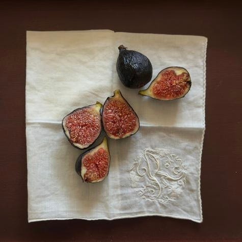  ⊹₊ ⋆ musings  ⊹₊ ⋆