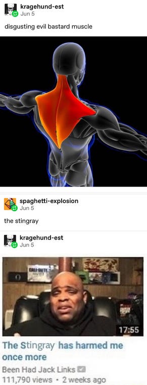 A tumblr post calling the trapezius muscle “the evil bastard muscle” and “the stingray” that has harmed us once more.