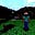 MajesticDefalt's avatar