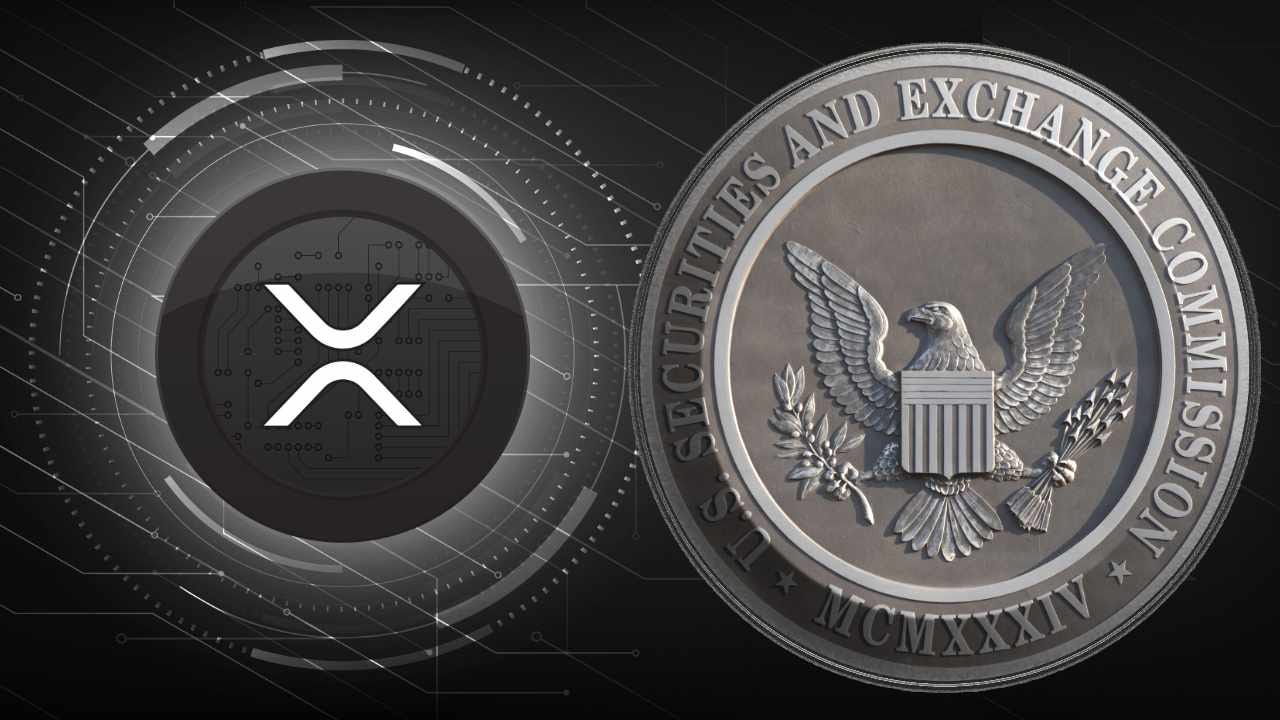 SEC Says XRP Ruling in Ripple Case 'Wrongly Decided' — Signals Appeal –  Regulation Bitcoin News