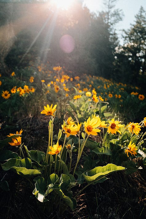 Tyler Knott Gregson Fuji photos of life in Montana