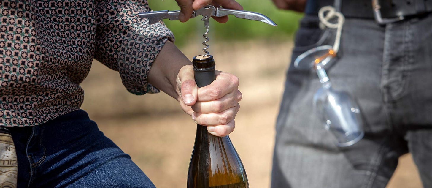 Tast de vi en una ruta enoturística de orientast