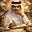 mohammed's avatar