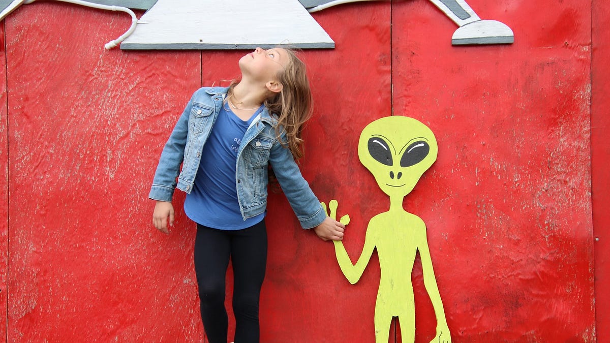 Allowed to See: My Familys 1970s UFO Sighting