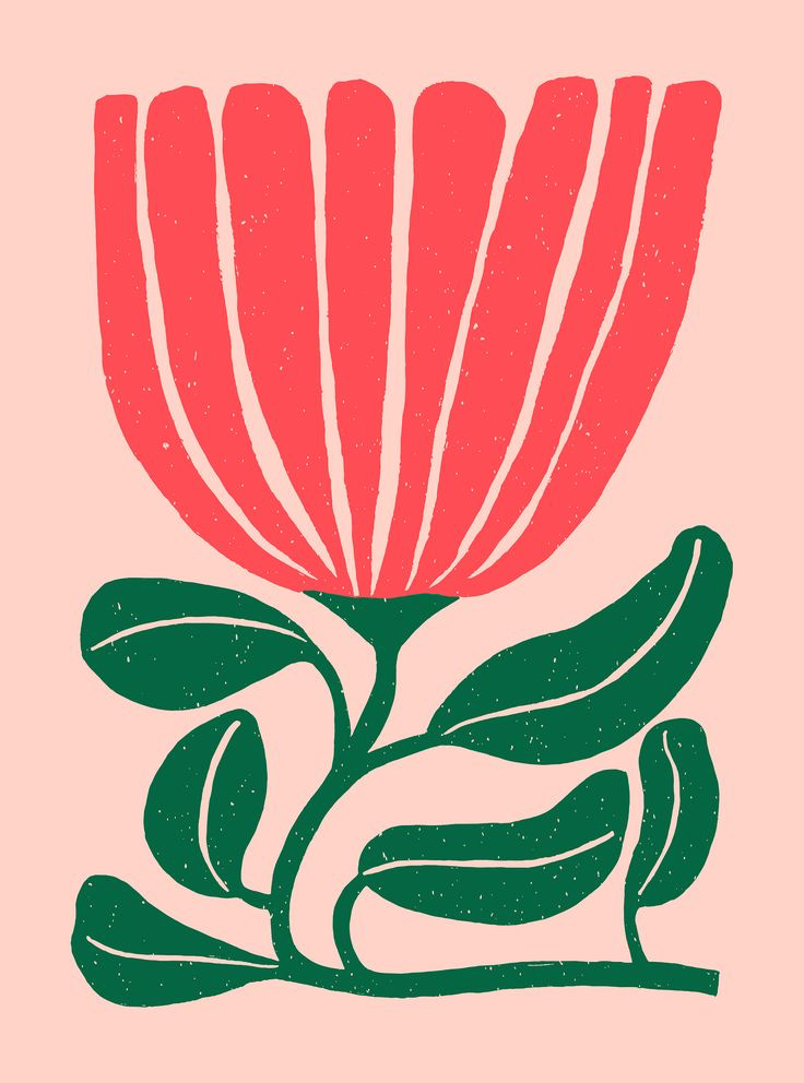 Stylized illustration of a single flower with a wide, fan-shaped coral-red bloom and dark green leaves and stem, set against a pale pink background.