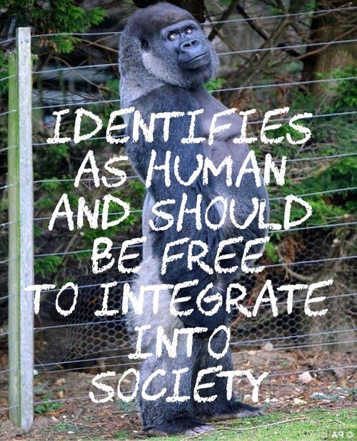 #memes
#funnymemes
#animalmemes
#identifymemes
