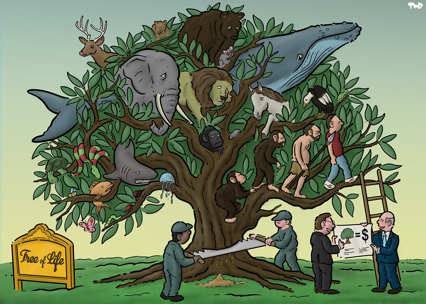 Cartoon showing Darwin's Tree of Life with several species of fish, mammals, birds and reptiles visible in the branches. We also see apes that slowly evolve into humans on a lower branch. The fully evolved human has made a ladder to climb down from the tree, where we see two businessman discussing a document that shows an equation with a picture of the tree on one side and a dollar sign on the other. Two worker are operating a giant saw, cutting down the tree.