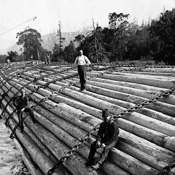 Trump Administration Restoring Timber Industry In Oregon