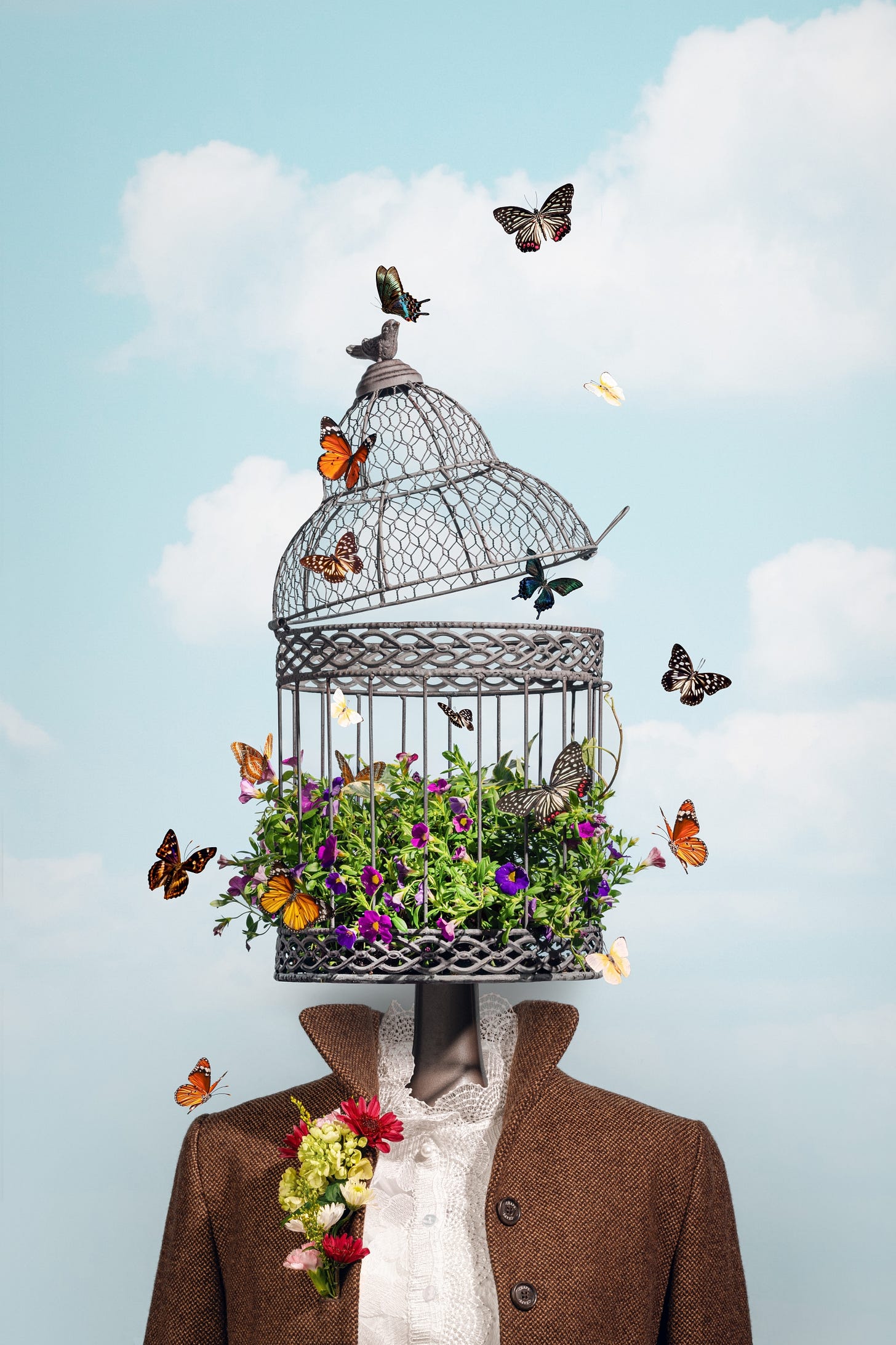 Butterflies escapaing a cage, symbolizing thoughts being set free.